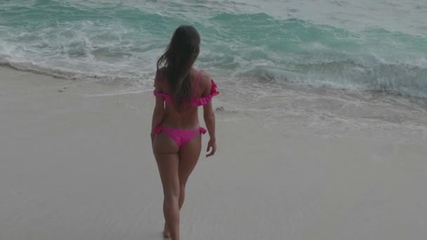 Visão Traseira Bela Mulher Fitness Bronzeada Biquíni Rosa Andando Praia — Vídeo de Stock