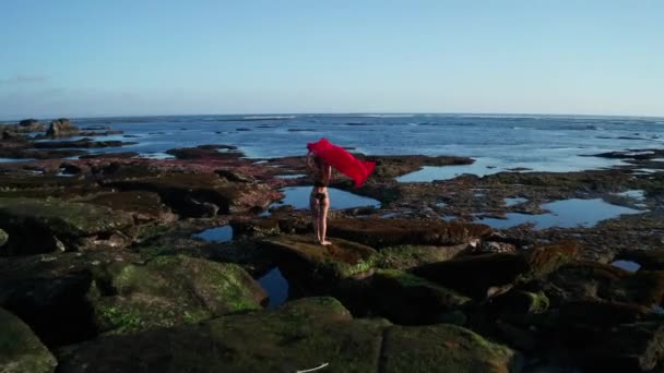 空中无人机视图美丽的性感女人在比基尼和红色整体摆姿势在海上和天空背景的岩石 — 图库视频影像
