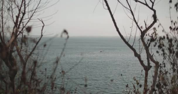 Utsikt Genom Träden Havet Med Båt Molnigt Dag — Stockvideo