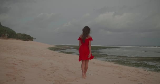 Achteraanzicht Van Mooie Sensuele Vrouw Rode Jurk Wandelen Het Strand — Stockvideo