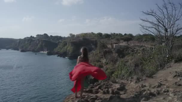 Drone Aéreo Visão Traseira Bela Mulher Vestido Vermelho Penhasco Costa — Vídeo de Stock