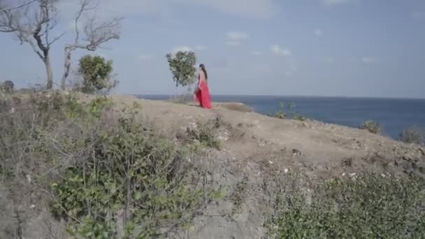 Luchtfoto Drone Weergave Van Mooie Vrouw Rode Jurk Wandelen Zee — Stockvideo