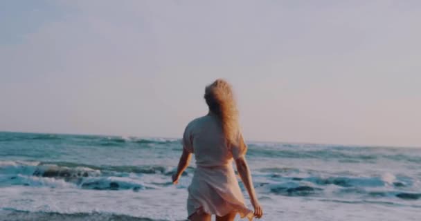 Vue Arrière Jolie Fille Heureuse Robe Détendre Sur Plage Sable — Video