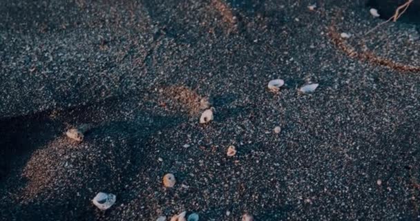 Gros Plan Jambes Féminines Marchant Sur Plage Sable Noir Avec — Video