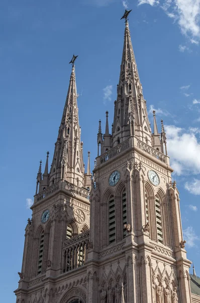 ゴシック様式ルハン ルハン ブエノスアイレス アルゼンチンの大聖堂 — ストック写真