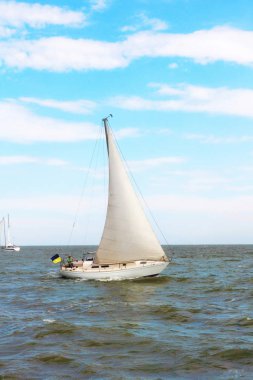 Yelkenli Yat Denizde. Teneke kutuların etrafında yarış.