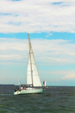 Yelkenli Yat Denizde.