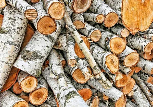 Une pile de bois de chauffage de bouleau . — Photo