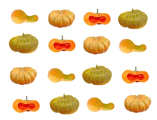 Ensemble Différentes Citrouilles Courges Isolées Sur Fond Blanc — Photo