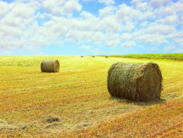 Gele Stoppelveld Met Hooibalen Tegen Blauwe Bewolkte Lucht — Stockfoto