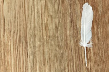 Kahverengi ahşap zemin üzerinde beyaz kuş tüyü metin için boş alan ile yakın çekim.