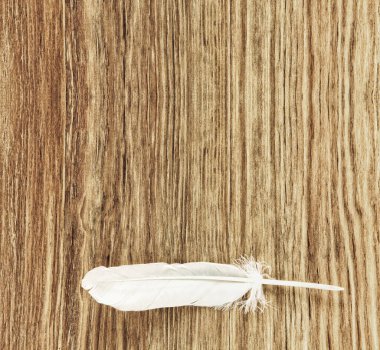 Grunge ahşap arkaplanda beyaz kuş tüyü metin için boş alan ile yakın çekim.