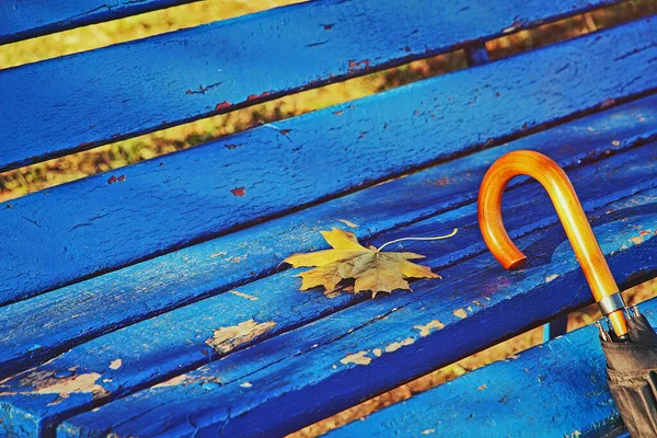 Зонтик Скамейке Голубом Парке Снят Крупным Планом — стоковое фото