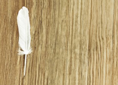 Kahverengi ahşap zemin üzerinde beyaz kuş tüyü ve metin için boş alan..