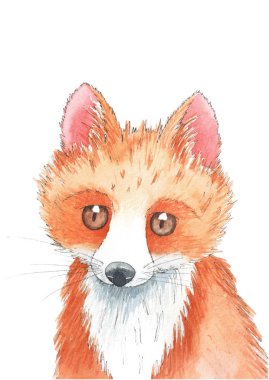 Kızıl Tilki kroki. Hayvan suluboya.