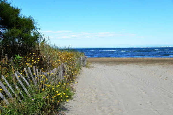 Грау Руа Юге Франции Красивый Пляж Голубым Небом Белым Песком — стоковое фото