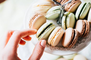 Ev yapımı Fransızca Macaroons plaka, Antep fıstığı, kahve ve vanilya Macaroons Womans el lezzetli Kurabiye Macaroons, güzel duvar kağıdı alıyor