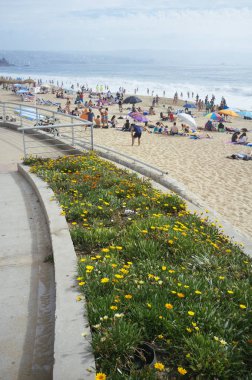 Raca Beach, Quinta bölge, Şili. 31 Aralık 2017. Orta Şili sahil popüler yaz tatil.