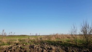 Yolcu uçak Pulkovo havalimanına iniyor