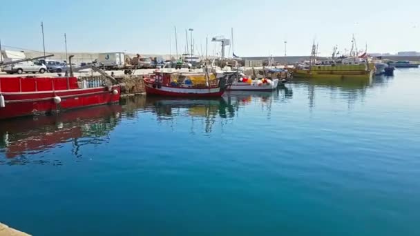 Perahu nelayan di pelabuhan Blanes. menangkap makanan laut yang lezat — Stok Video