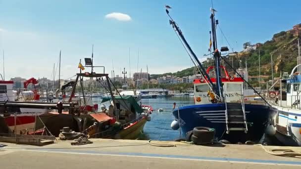 Barcos de pesca no porto Blanes. pegar iguarias do mar — Vídeo de Stock