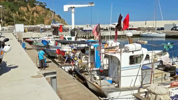 Blanes España Mayo 2018 Barcos Pesqueros Yates Amarrados Muelle Puerto — Vídeo de stock