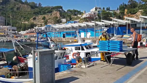 Barcos de pesca no porto Blanes. pegar iguarias do mar — Vídeo de Stock