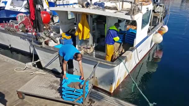 Vissersboten in de haven Blanes. Overstaptijd voor de zee delicatessen — Stockvideo