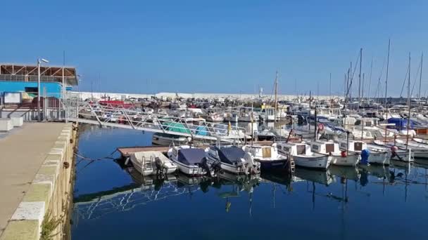 Barcos de pesca, yates privados, muelle en el puerto de Blanes — Vídeo de stock