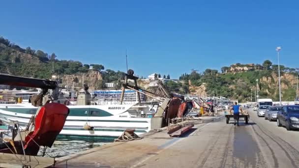 Рыбацкие лодки в порту Бланес. ловить морские деликатесы — стоковое видео