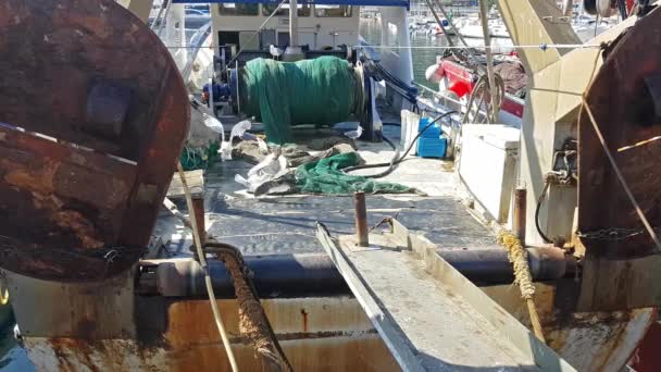Las gaviotas comen pescado a bordo de un buque pesquero. Blanes — Vídeos de Stock