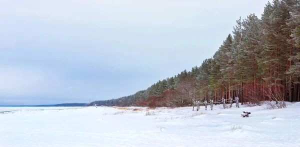 Wintertag Schneebedeckten Ufer Der Narva Bucht Schnee Auf Eis Gefrorenen — Stockfoto