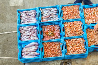 Kapları ile deniz balık lezzetleri Blanes yakalamak