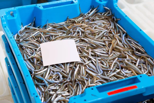 Containers met vangen zee vis delicatessen Blanes — Stockfoto
