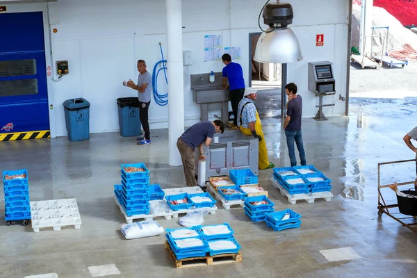 Compradores negociados en el transportador, subasta de pescado en Blanes — Foto de Stock
