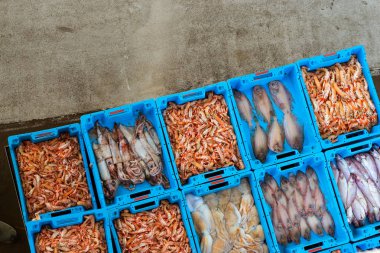 Kapları ile deniz balık lezzetleri Blanes yakalamak