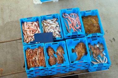 Kapları ile deniz balık lezzetleri Blanes yakalamak