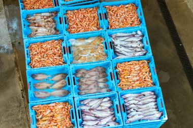 Kapları ile deniz balık lezzetleri Blanes yakalamak