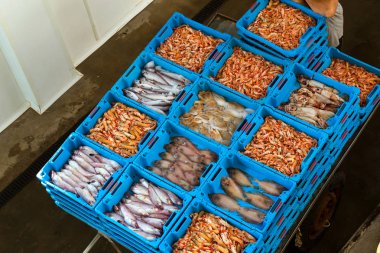 Kapları ile deniz balık lezzetleri Blanes yakalamak