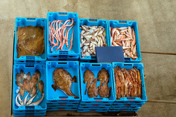 Containers with catch, sea fish delicacies, Spain