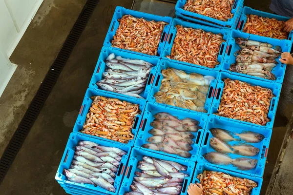 Kontejnery s zachytit moře rybí pochoutky Blanes — Stock fotografie