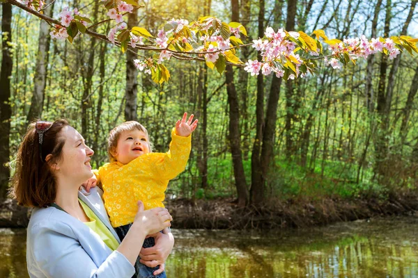 Young woman with child happy Sakura blossom spring