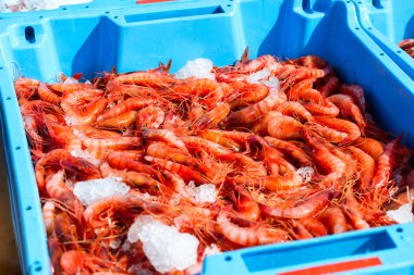 Mavi plastik konteynerler, deniz Kraliyet karides yakalamak