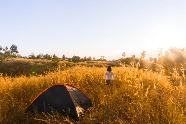 Livre Acampamento Grama Montanhas Por Sol — Fotografia de Stock