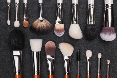 Profesyonel makyaj fırçaları