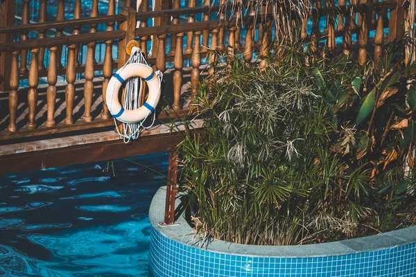 Piscina con puente e isla con plantas en ella — Foto de Stock