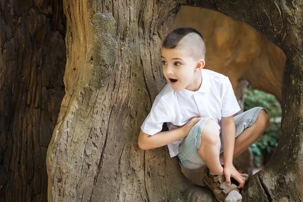 Niño alegre sentado en el árbol — Foto de Stock