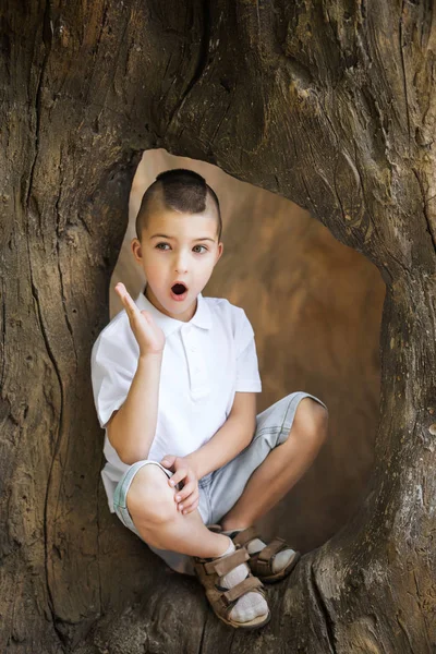 Menino emocional sentado na árvore — Fotografia de Stock