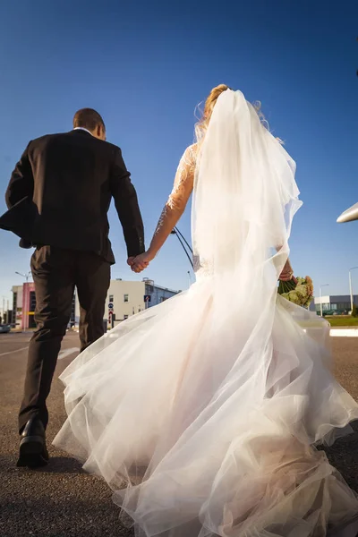 Widok z tyłu nowożeńcy chodzenie wzdłuż drogi — Zdjęcie stockowe