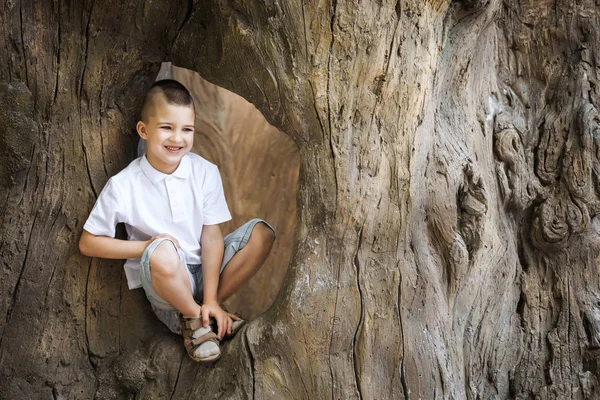 Niño feliz sentado en el árbol — Foto de Stock